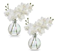 Hollyone Lot de 2 fleurs d'orchidées artificielles blanches dans un vase, petite plante d'orchidée artificielle avec vase en verre, fausses phalaenopsis décoratives pour mariage, centre de table