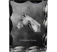 Holsteiner Pferd - crystal with a picture of a horse, glass statuette with a picture, unique frame with a picture from Art-Dog brand