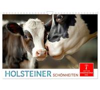 Holsteiner Schönheiten Calendrier mural 2026 format A4 paysage, calendrier mensuel CALVENDO