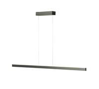 Holtkötter Avior L 2323-2 Pendelleuchte, platine