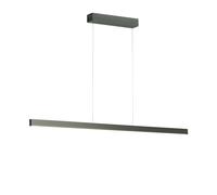 Holtkötter Avior M 2322-2 Pendelleuchte, platine