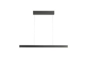 Holtkötter Avior S 2321-2 Pendelleuchte, platine