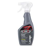 Holts Nettoyant Insectes & Fientes - Spray Nettoyant Extérieur Anti-Insectes et Fientes d’Oiseaux