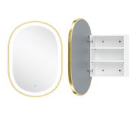 HOMCOM Armoire murale salle de bain avec miroir et éclairage LED anti-buée 3 températures de lumière étagères réglables doré