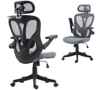 HOMCOM Chaise Bureau Ergonomique Accoudoirs 3D Appui-Tête Réglable Gris