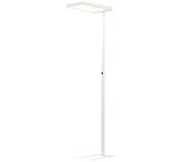 HOMCOM Lampadaire sur pied salon LED dimmable spectre complet pour le soin des yeux télécommande 60 x 32 x 196 cm blanc