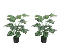 HOMCOM Lot de 2 plantes artificielles intérieures 65 cm, arbre artificiel avec pot en plastique et flocage, vert