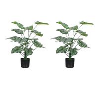 Lot de 2 plantes artificielles intérieures - HOMCOM - 65 cm - pot en plastique et flocage - vert