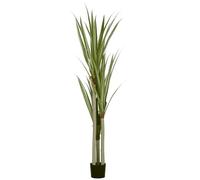 HOMCOM Yucca Artificiel Grand 190cm Plante en Pot pour Salon | Plante artificielle en plastique, fausse plante réaliste, chambre bureau jardin, décoration moderne cadeau
