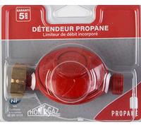 Home Gaz - GAZ105 - 6971004 Détendeur propane NF fileté mâle