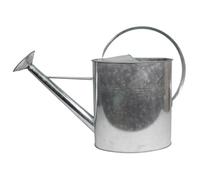 Home IT® Arrosoir Galvanisé 10L avec Pomme Amovible - Arrosoir de Jardin en Acier Résistant - Design Classique - Facile à Utiliser et Nettoyer