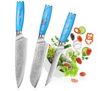 Home Safety Couteaux de Cuisine 3pcs, Couteau Cuisine 20cm + Couteau Santoku 17,5cm + Couteau à Désosser 15cm,Couteau de Chef en Acier Damas de 67 étages, Manche Ergonomique avec Boîte Cadeau