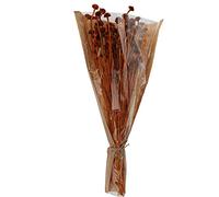 Home @ Styling Collection Koopman International B.V - Bouquet Fleurs SÉCHÉES Marguerite 55CM Terracotta