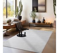 HomebyHome Tapis Lavable à Poils Courts 200 x 290 cm Argent Moderne Uni Doux en Polyester Facile à Entretenir pour Salon Chambre Salle à Manger Décoration Intérieure