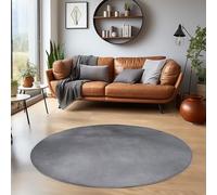 HomebyHome Tapis Rond Lavable 200 cm Gris Uni Poils Courts Moderne Doux Antidérapant Lavable en Machine pour Salon Chambre Salle à Manger