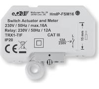 Homematic IP HmIP-FSM16 Actionneur de commutation