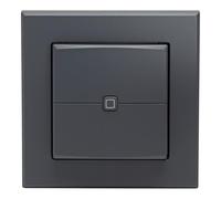 Homematic IP Smart Home 161869A0 Interrupteur mural à 2 boutons - Accessoire Smart Home universel - Commutateur mural sans fil - Actionneurs et thermostats - Anthracite