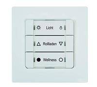 12501006 HOMEPILOT sans fil Interrupteur mural montage apparent (en saillie)