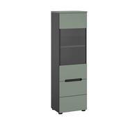 Homes & Jones Vitrine CANU (lxhxp : env. 36x125x33 cm), Coloris Gris Basalte/Vert fumé