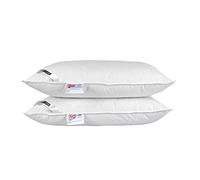 HOMESCAPES 2 Oreillers naturels 50 x 75 cm, 85% Plumes et 15% Duvet de Canard Anti acarien, Frais en été, Chaud en Hiver