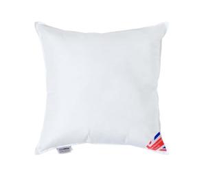 HOMESCAPES Coussin de garnissage en 100% Microfibre Ultra Douce, Coussin à recouvrir 55x55 cm