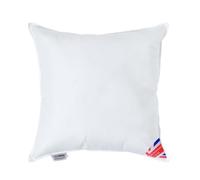 HOMESCAPES Coussin de garnissage en 100% Microfibre Ultra Douce, Coussin à recouvrir 60x60 cm