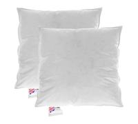 HOMESCAPES Coussin de garnissage en Duvet et Plumes d’oie et Coton, Coussin à recouvrir 55x55 cm - Lot de 2