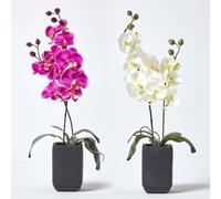HOMESCAPES Orchidée artificielle en pot céramique rectangulaire noir, 55 cm, Lot de 2 plantes artificielles
