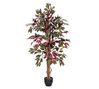 HOMESCAPES Plante Artificielle Capensia Rouge & Vert Hauteur 122 cm
