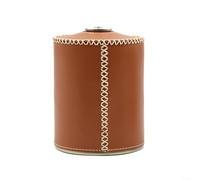HomeVortex Housse en cuir pour bouteille de gaz 230 g 450 g Marron (L marron)