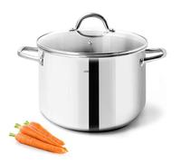 HOMICHEF Petite marmite en acier inoxydable sans nickel (20,5 cm 3,8 litres) - Casserole à induction en acier inoxydable poli miroir avec couvercle en verre