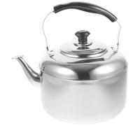 HOMOBABE Bouilloire Sifflante Inox 6 L Compatible Induction, Grosse Capacité pour Thé et Café, Chauffe-eau Maison et Bureau, Bouilloire Acier Solide Bec Verseur Précis