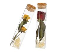 HOMOCONO Mini-Bouteilles en Verre Petit Bocal en Verre Coloré Lot de 2 avec Fleurs Séchées, Bouteilles à Souhaits Décoratives pour Bureau et Occasions