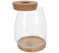 Homoyoyo Lot de 2 Sets de Vases en Verre Hydroponique Grand Format avec Bouchon en Liège Percé et Support en Bambou, Récipient Décoratif pour Propagation D’Eau des Plantes, pour