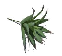 Homoyoyo Plante Grasse en Plastique Simulation D’aloès, Lot de 3 Pièces