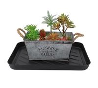 HOMSFOU Plateau de Rangement pour Chaussures, Plateau Chat en PP Robuste, pour Coffre de Voiture, Garde Le Sol Sec et Propre