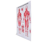 HOMSFOU Poster du Squelette du Corps Humain en Tissu sans Cadre, Tableau Pédagogique D'anatomie Pratique et Facile à Lire pour Laboratoire et École