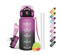 HoneyHolly Gourde Paille, Gourde 500ml, sans BPA & Étanches, Bouteille, Motivation Bouteille d'eau, Avec Marqueur de Temps, Petite Water Bollte pour Gym, Ecole, Cyclisme, Plein Air, Sport