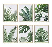 HoozGee Impressions Murales Botaniques Lot de 6 Décor de Feuilles Tropicales Feuille de Plante Sur Toile d'art Mural Décoration Murale Ensemble d'affiches d'art 8"x10" (20.3x25.4cm) SANS CADRE