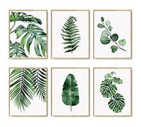 HoozGee Mur Botanique Vert Impression Artistique Lot de 6 Impression Sur Toile Estampes Botaniques Décor à la Maison Naturel Affiches d'art de Salle de Bain 11"x14" (27.9x35.6cm) SANS CADRE