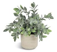 Hopewood Plante Artificielle d'intérieur en Pot - Petite Plante Artificielle décorative pour la Maison, la Salle de Bain, la Ferme, Le Bureau, l'étagère, la décoration (25 cm)