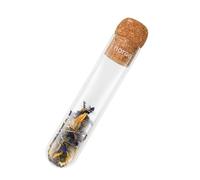 Horae Infuseur à Thé en Verre Microperforé Bouchon en Liège