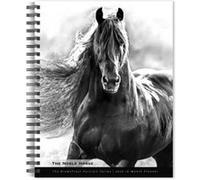 Horse The Noble The BrownTrout Portrait Series 2026 Engagement Diary - BrownTrout - BrownTrout - Livre en Anglais - Diary BrownTroutBrownTrout (Auteur)