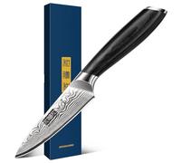 HOSHANHO Couteau d'Office 10 cm, Petit Couteau à Fruits Couteau de Cuisine | Couteau à Fruits Japonais Ultra-Tranchant Forgé en Acier à Poudre au Carbone avec Manche Ergonomique en Bois de Pakka