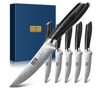 HOSHANHO Set de 6 Couteaux à Steak, Ensemble de Couteaux à Steak Dentelés
