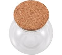 HOUDERCO Mini Bouteille en Verre Décorative pour Conserver Aliments et avec Bouchon Liège, Petite Bouteille Hermétique pour Décoration Maison et