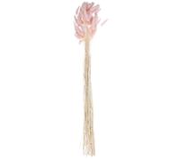 HOUDERCO Queue de Lapin Séchée Rose Poudré Naturelle pour Décoration Intérieure Romantique Chambre et Mariage, Bouquet de 60 Pièces en Fleurs Séchées Champêtres