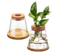 Housoutil 2 Pièces Jardinière Hydroponique en Verre 330ml à Design Conique | Bouchon Bois Percé et Support Bambou, , Transparence Élevée, pour Balcon ou Table