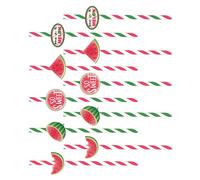Housoutil 40pièces Pailles Papier Motif Pastèque pour Fête Anniversaire Jetables Colorées et Décoratives pour Boissons Fraîches Plusieurs styles