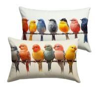 Housse Coussin 30x50cm Crème Coussin Canape Animal Housse Coussin 2 Pièces Doux Taie en Velours Decoratif D'oreiller, Impression Double Face D'automne Décoration, Chambre Jardin Terrasse Y-P1077